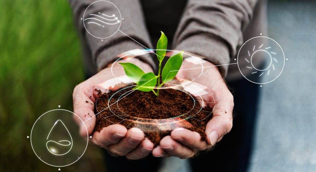 World Environment Day: From Noise to Action