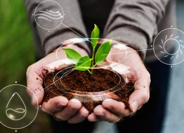 World Environment Day: From Noise to Action