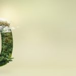 Sustainability: Debunking Five Common Myths