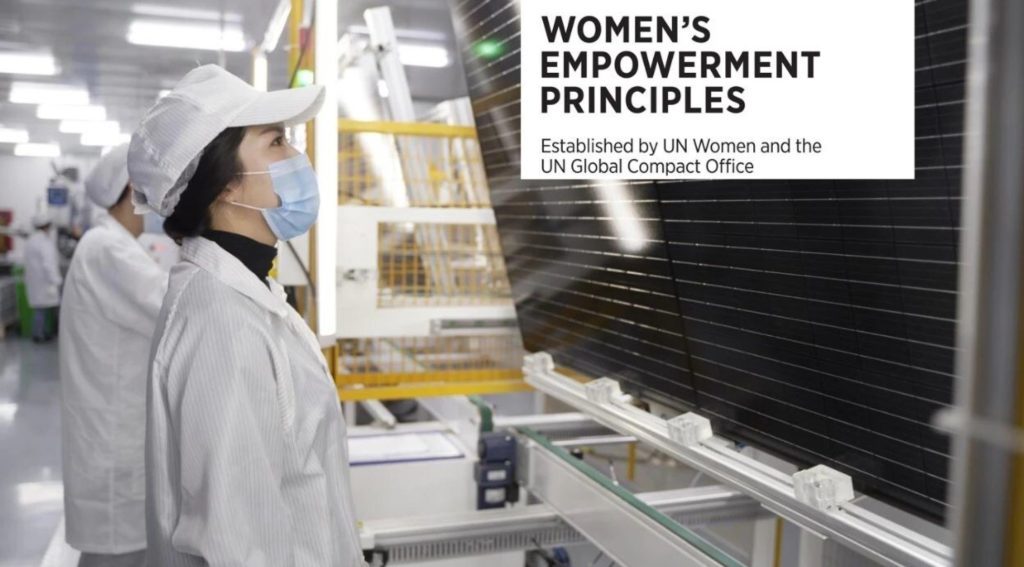DMEGC Solar Embraces UN Women's WEPs