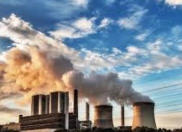 Fragmented Carbon Markets Threaten Net-Zero Goals, Regional Solutions Emerge