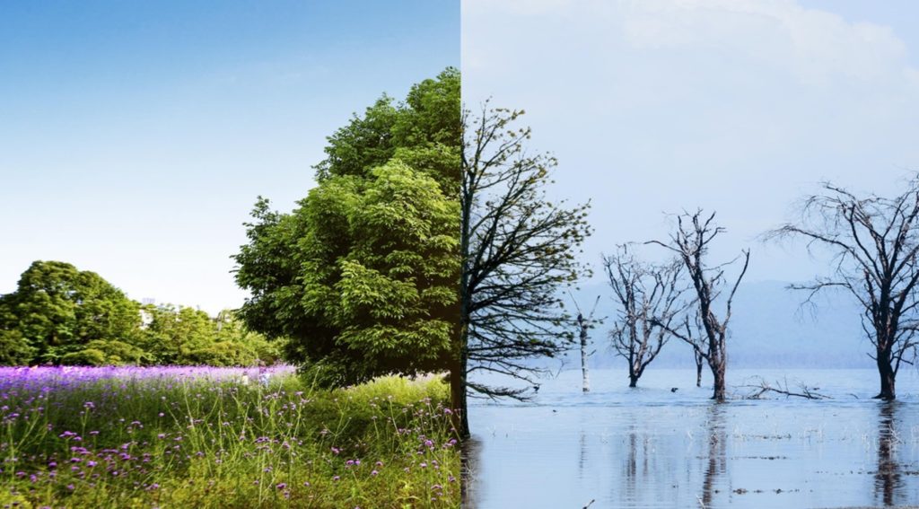 IFRS Unveils New Guidance to Bolster Climate Transition Disclosures