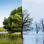 IFRS Unveils New Guidance to Bolster Climate Transition Disclosures