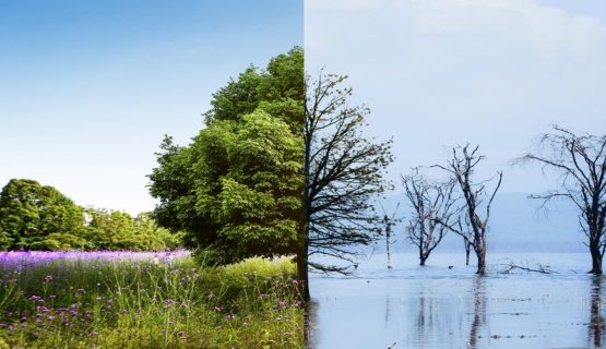 IFRS Unveils New Guidance to Bolster Climate Transition Disclosures