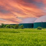 SECI Green Ammonia Tender Supports Fertilizer Decarbonization
