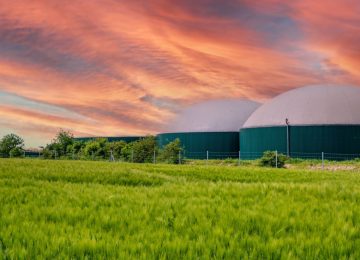 SECI Green Ammonia Tender Supports Fertilizer Decarbonization