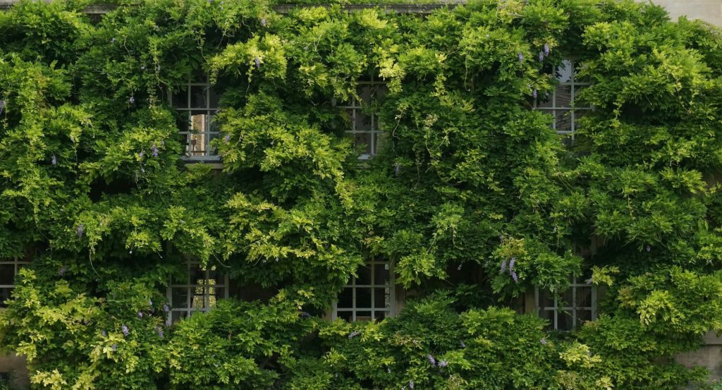 New Relic Spotlights AI, Green, and Inclusion Efforts