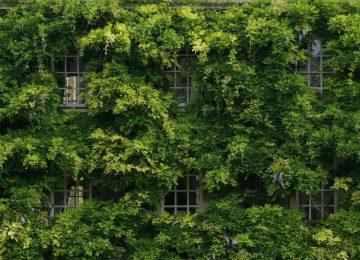 New Relic Spotlights AI, Green, and Inclusion Efforts