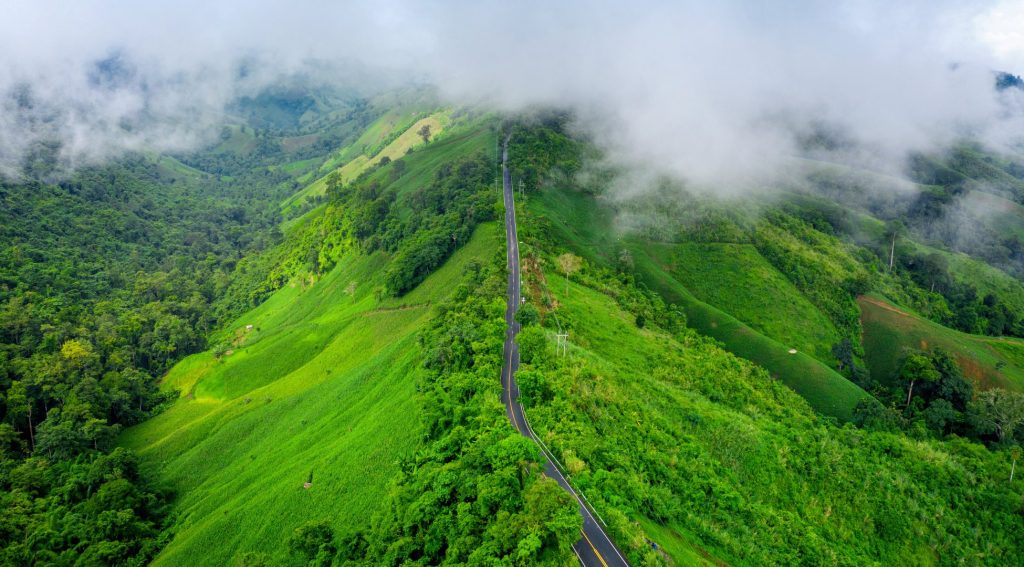 79% Forest Cover Makes Arunachal Pradesh India's Premier Carbon Sink