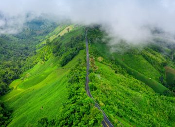 79% Forest Cover Makes Arunachal Pradesh India's Premier Carbon Sink