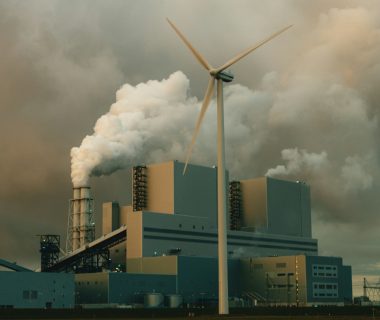 World Court Mandates 1.5°C Climate Limit, IUCN Hails Historic Ruling