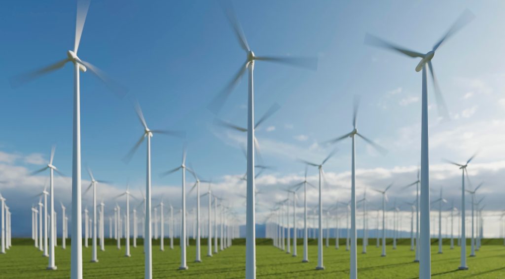 Half of India's Power Capacity Now Comes from Non-Fossil Fuel