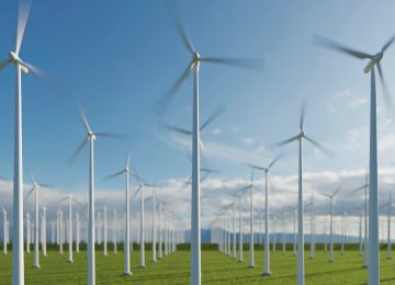 Half of India's Power Capacity Now Comes from Non-Fossil Fuel