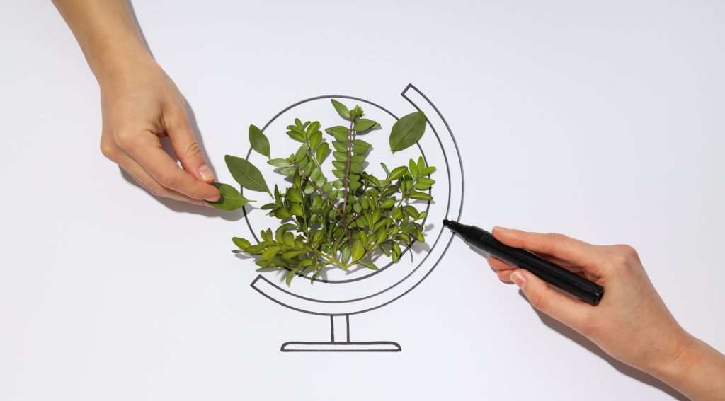 Sustainability Experts Demand Radical Overhaul Amid Stalled Progress