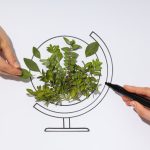 Sustainability Experts Demand Radical Overhaul Amid Stalled Progress