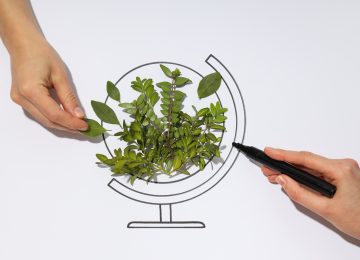 Sustainability Experts Demand Radical Overhaul Amid Stalled Progress