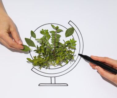 Sustainability Experts Demand Radical Overhaul Amid Stalled Progress