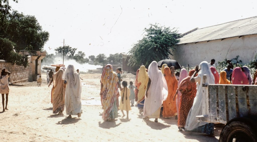 Deforestation's Deepest Scar: The Unseen Toll on Women and Children