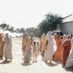 Deforestation's Deepest Scar: The Unseen Toll on Women and Children