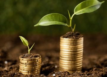 India's Climate Finance Shortfall: A Sector-Specific Look