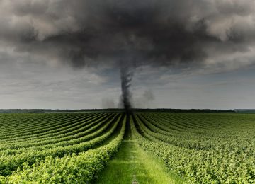 California Court Upholds Landmark Climate Disclosure Laws