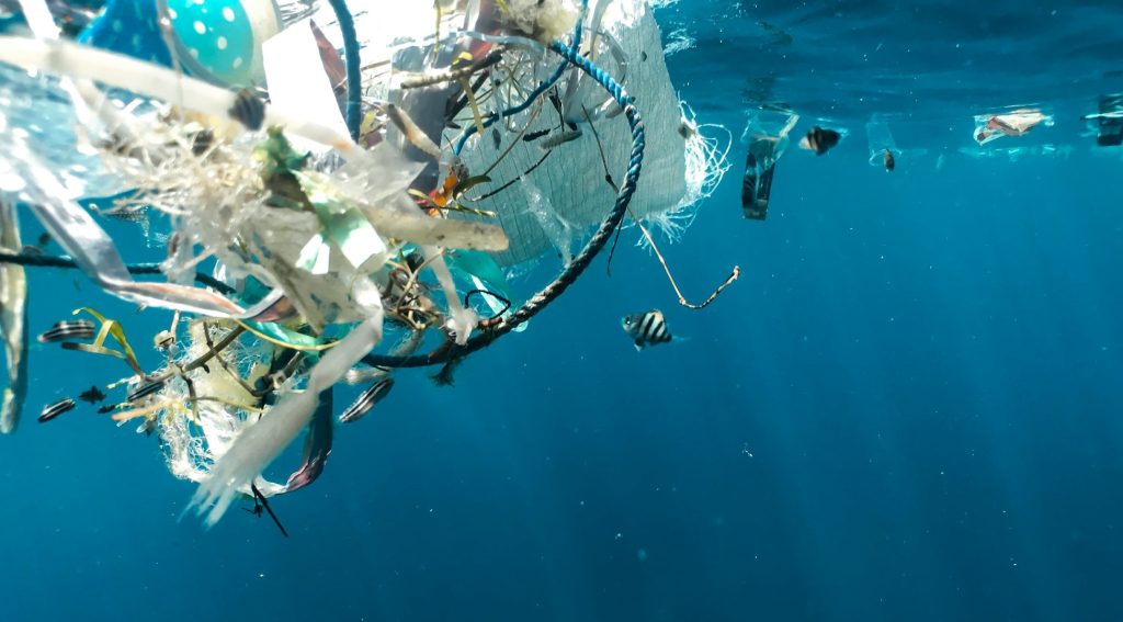 Plastic Pollution Dominate Indian Coast
