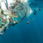 Plastic Pollution Dominate Indian Coast