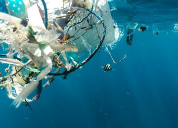 Plastic Pollution Dominate Indian Coast