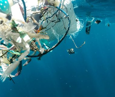 Plastic Pollution Dominate Indian Coast