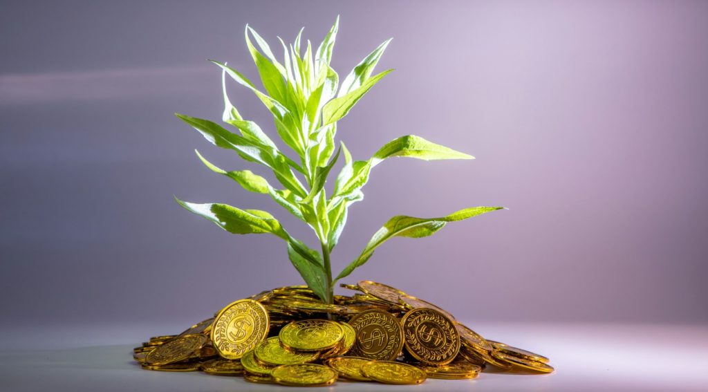 Financial Authorities Can Steer Investors Toward a Sustainable Economy