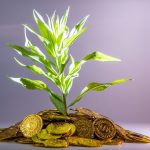 Financial Authorities Can Steer Investors Toward a Sustainable Economy