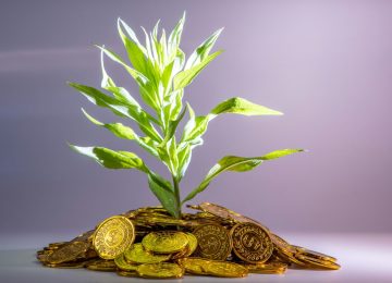 Financial Authorities Can Steer Investors Toward a Sustainable Economy