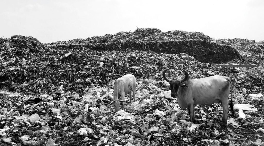 Community-Driven Models Shifting India’s Waste Story