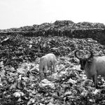 Community-Driven Models Shifting India’s Waste Story