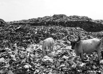 Community-Driven Models Shifting India’s Waste Story