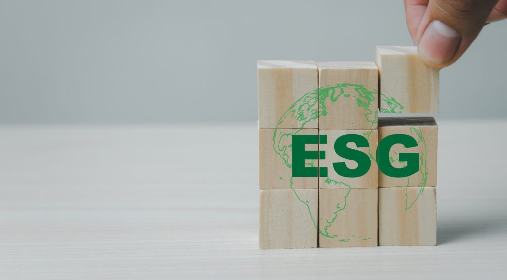 India urged to establish dedicated ESG oversight body to combat greenwashing