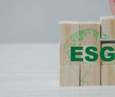 India urged to establish dedicated ESG oversight body to combat greenwashing