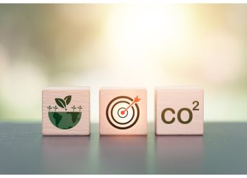 New Blockchain Platform Simplifies Carbon Credit Trading