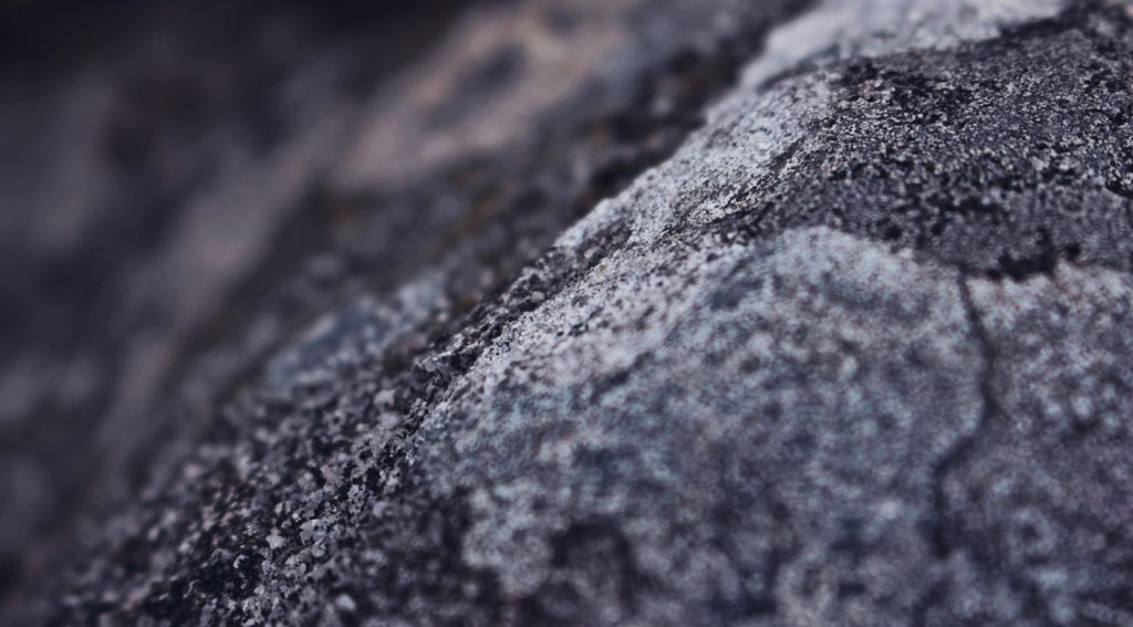 Schneider Electric Secures 31,000 Tons of Carbon Removal