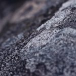 Schneider Electric Secures 31,000 Tons of Carbon Removal