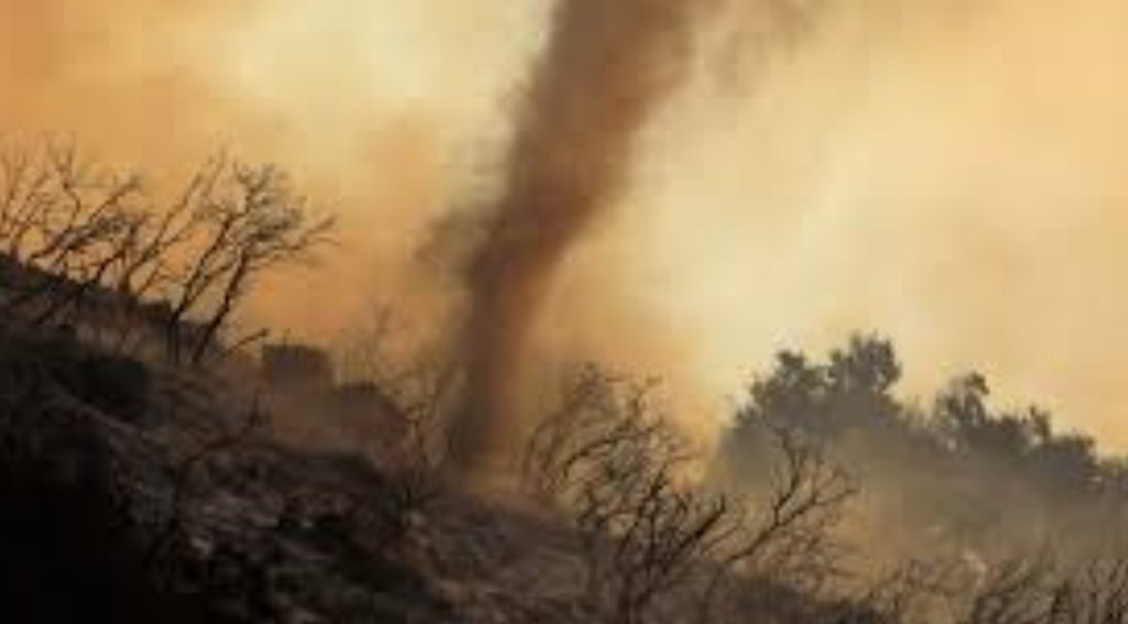 Costly Climate Mistake: Germanwatch Condemns Power CCS Pivot