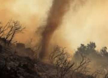 Costly Climate Mistake: Germanwatch Condemns Power CCS Pivot