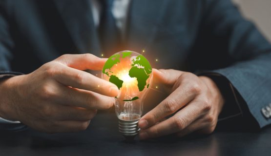 Companies Boost Sustainability Investments Amid Rising Skepticism: Capgemini Report