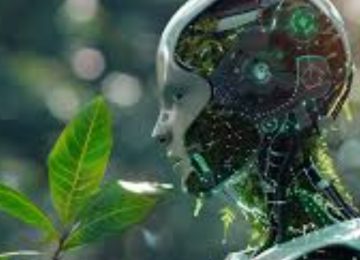 How are AI Data Centers Spearheading Digital Transformation?