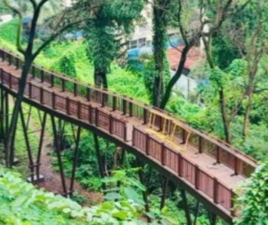Green Mumbai Summit Maps Path to Net-Zero Future