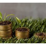 SBI, AFD Sign Euro 100 M LoC For Green Finance