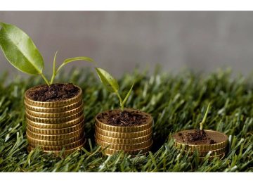 SBI, AFD Sign Euro 100 M LoC For Green Finance