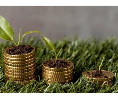 SBI, AFD Sign Euro 100 M LoC For Green Finance