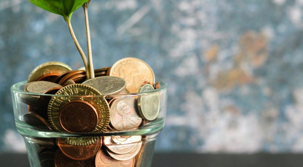 Brazil's COP30 Forest Fund: A Green Loan or a Global South Handout?