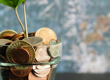 Brazil's COP30 Forest Fund: A Green Loan or a Global South Handout?
